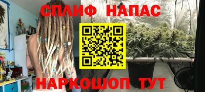 сатива Конаково