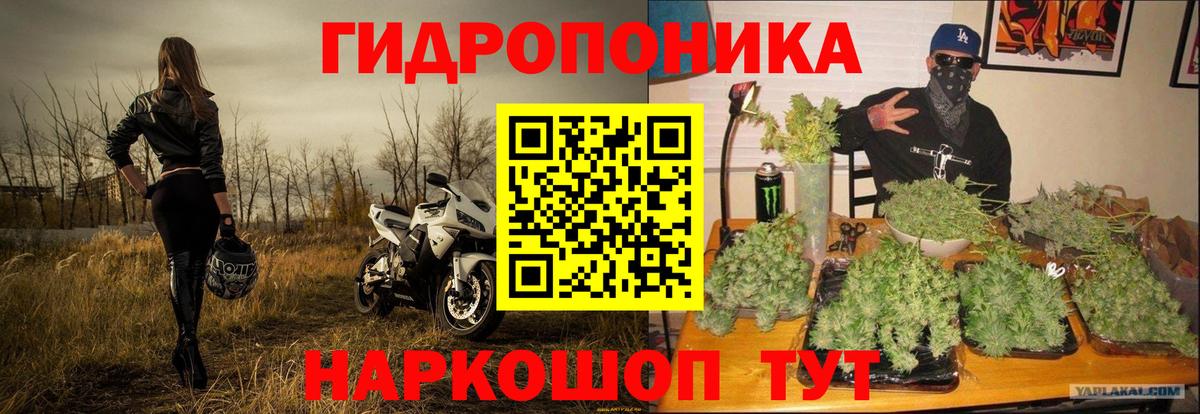 МАРИХУАНА план Бирск